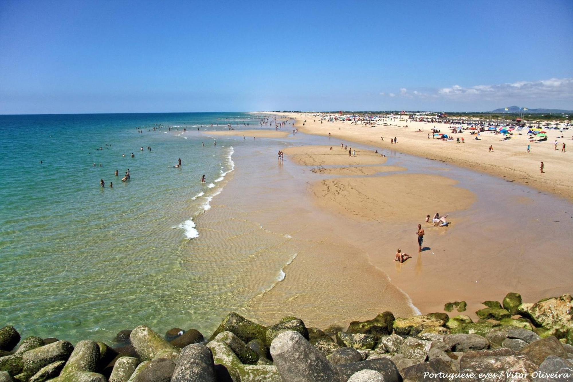 By Homing Tavira